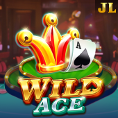 Wild Ace playtime apk game